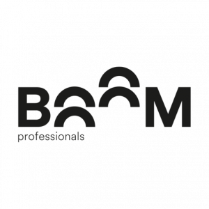 Logo Boom Professionals